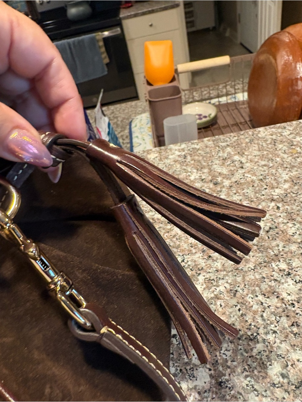 Dooney & Bourke Brown Suede Satchel with Tassel Detail Florentine - Picture 3 of 8